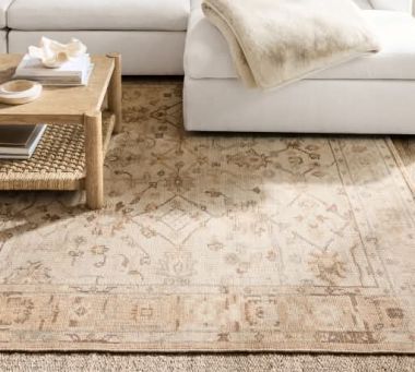 Rugs Under $1,000
