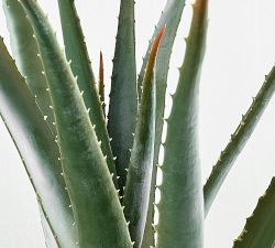 Faux Spike Aloe Plant