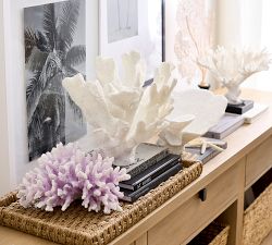 Faux Peach Fan Coral