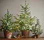 Faux Lit Blue Spruce Tree