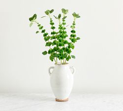 Bells Of Ireland Bundle