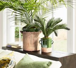 Pineapple Palm Potted Houseplant