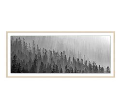 Repetitive Evergreens Framed Print