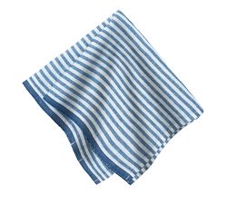 Striped Block Print Cotton Picnic Napkin - Set of 4