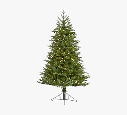 Lit Cambridge Fir Faux Christmas Tree