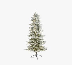 Lit Slim Flocked Nova Scotia Spruce Faux Christmas Tree