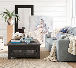 Shell Study #1 by Lauren Herrera