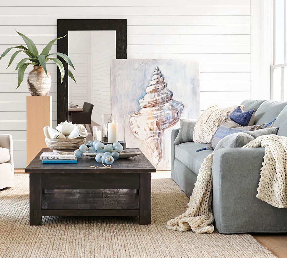 Shell Study #1 by Lauren Herrera by Pottery Barn