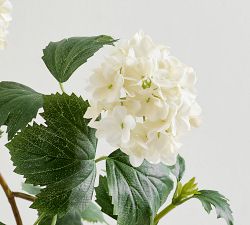 Faux Snowball Branch