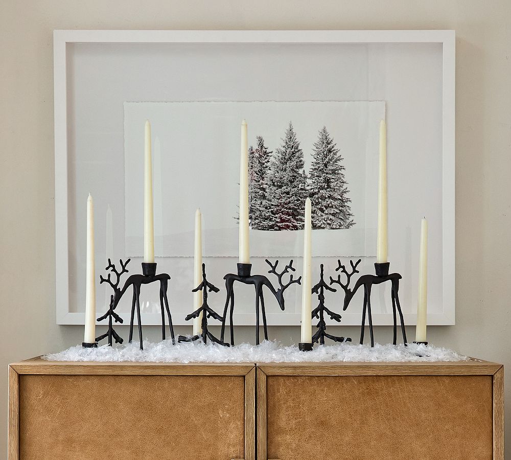 Snowy Needles Framed Print by Pottery Barn