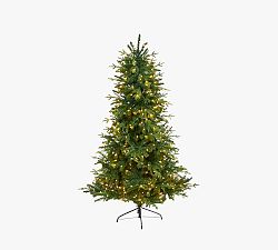 Open Box: Faux Lit Montreal Spruce Tree (6') - Warm White