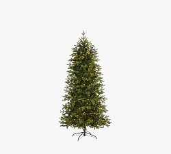 Open Box: Lit Belgium Fir Artificial Christmas Tree (7')