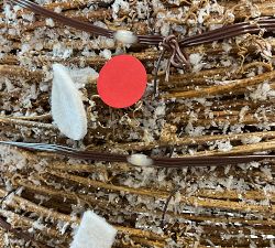 Open Box: Lit Rattan Gingerbread, Mr. Spice - Brown/Red