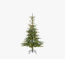 Open Box: Lit Washington Spruce Faux Christmas Tree (5')