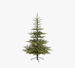 Open Box: Lit Washington Spruce Faux Christmas Tree (6')