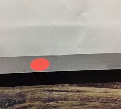 Open Box: Tree Avenue by Lupen Grainne (28"W x 42"L) - Wood Gallery, Black, No Mat