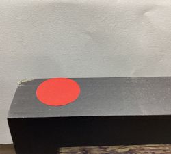 Open Box: Tree Avenue by Lupen Grainne (28"W x 42"L) - Wood Gallery, Black, No Mat