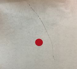 Open Box: Acrylic Floating Single Panel Gallery Frame with Magnets (27" x 39") - Brass