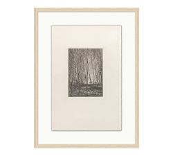 Running Through the Forest Framed Print