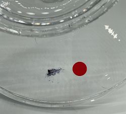 Open Box: Antique Cut Glass Cake Dome &amp; Stand - Clear