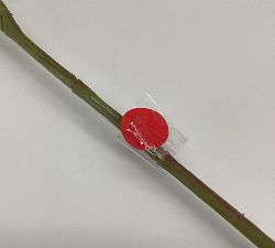 Open Box: Faux Eucalyptus Leaf Branches, Set of 3