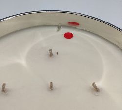 Open Box: Snow Berry Homescent, XL Candle (58oz.) - Silver