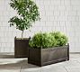 Chris Loves Julia Planter Collection