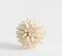 Decorative Shell Ball