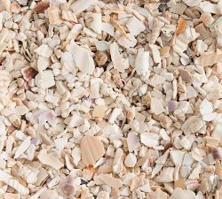 Crushed Shell Vase Filler