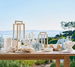 Clam Decorative Bowl