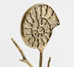 Brass Shell on Stand