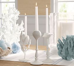 Nautilus Candle Holder