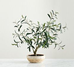 Faux Potted Olive Houseplant