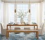 Meyer Flared Glass Pendant (17")