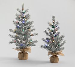 Lit Classic Multicolor Tree