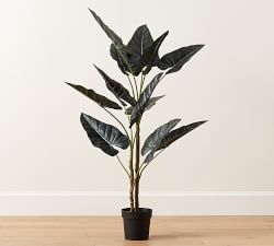 Faux Alocasia Tree - 5'