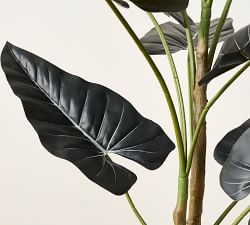 Faux Alocasia Tree - 5'