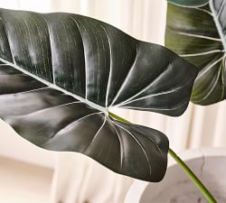 Faux Alocasia Tree - 5'