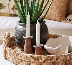 Faux Potted Spike Aloe