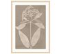 Hints of Nature Framed Print