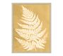 Sun Fern  Framed Print