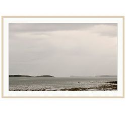 The Susurrus by Tara Hogan