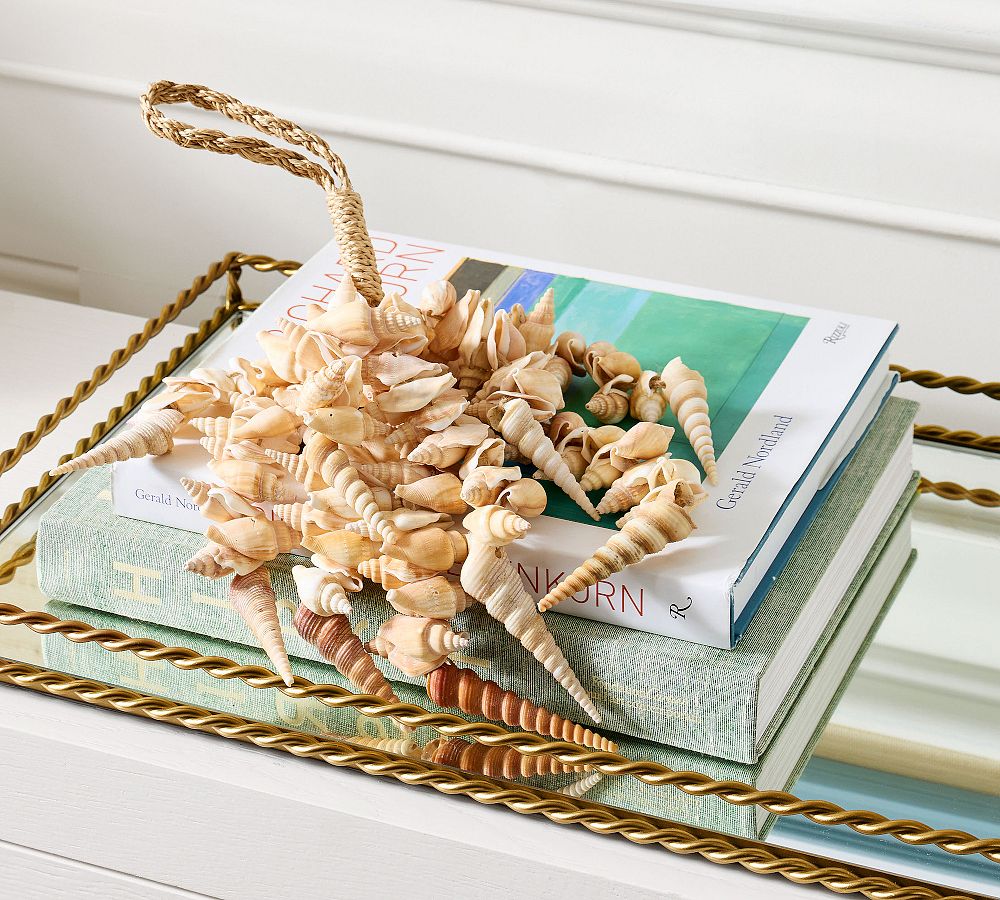 Shell Rope Decor Cream Seashell Rope Object | Pottery Barn