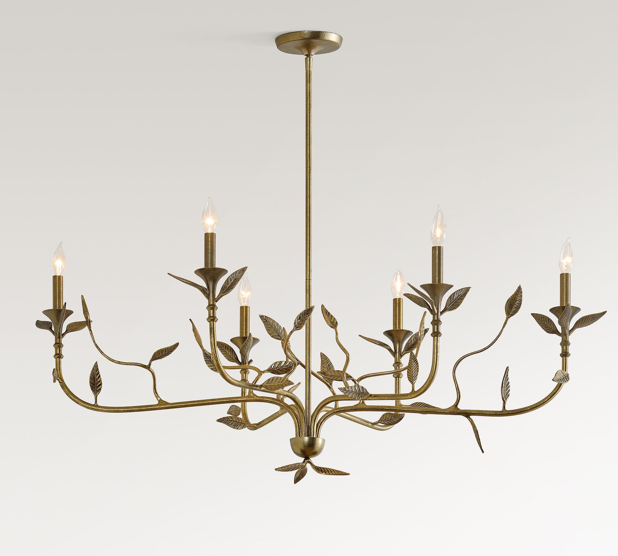 Botanical Forged Iron Oval Chandelier (50")
