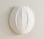 Resin Tortoise Shell Wall Decor