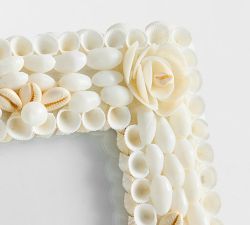 Seashell Frames