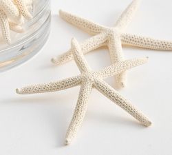 Starfish Vase Filler
