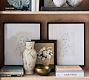 Potted Rose Framed Print by Carleigh Courey