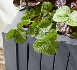Indio Outdoor Outdoor Planters