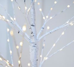 Lit Twinkling Twig White Birch Tree